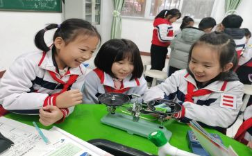 小学科学课培训心得优质6篇