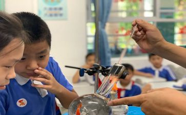 小学科学课培训心得5篇