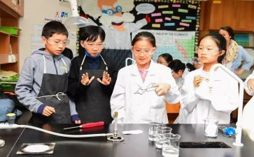 科学课活动方案最新7篇