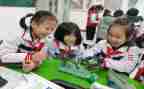 小学科学课培训心得优质6篇