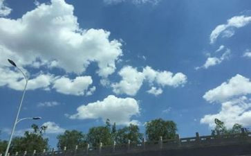 关于空气的调查报告7篇