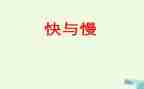 快与慢的演讲稿800字优秀5篇
