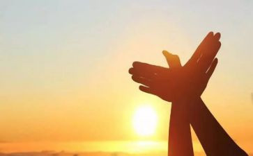 《宽恕》作文推荐7篇