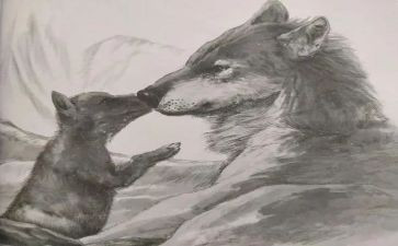 《狼王梦》心得体会8篇