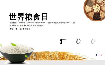 粮食节主题宣传活动总结8篇