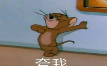 了不起的小叶子扶读后感7篇