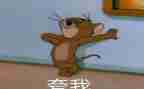 了不起的小叶子扶读后感7篇