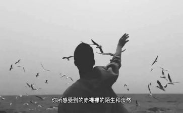 离开的日子作文8篇