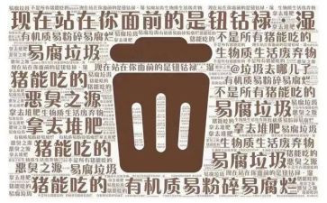 幼儿园捡垃圾活动方案7篇