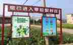 环保垃圾活动方案8篇