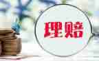 2023保险理赔工作总结5篇