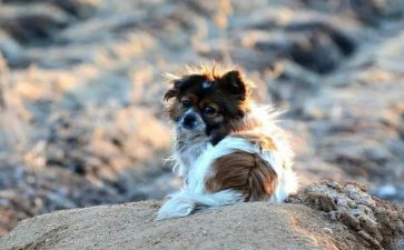 流浪地球2的读后感7篇