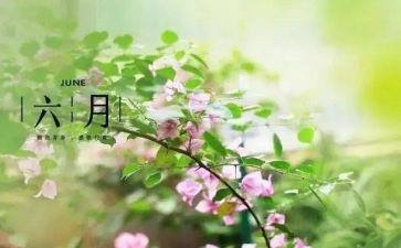 小班六月份月总结7篇
