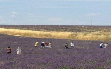 汤姆的历险记读后感8篇