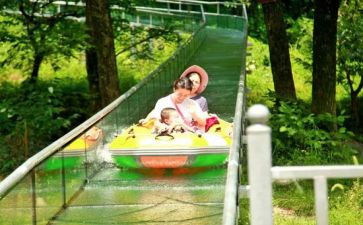 读汤姆历险记读后感通用7篇