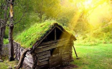 汤姆的历险记读后感参考8篇