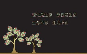 励志性作文800字精选6篇