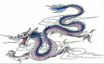 霸与龙的故事读后感6篇