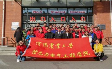 楼委会个人工作总结5篇