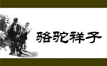骆驼祥子的心得体会最新6篇