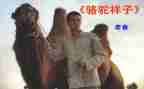 骆驼的祥子读后感500字5篇