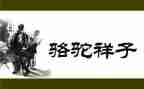骆驼祥子的心得体会最新6篇