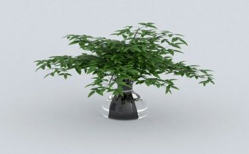 有关绿色环的演讲稿5篇