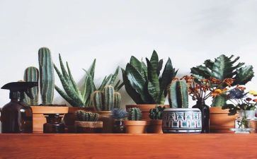 绿野仙踪读后感读后感通用8篇