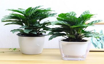 绿化园林工程合同推荐7篇