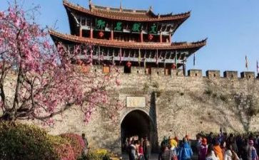 旅游心得体会作文6篇