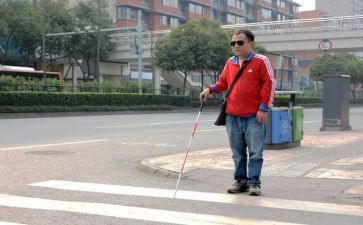 关于盲人的作文600字5篇