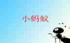 蚂蚁幼儿教案8篇