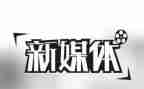 在新媒体工作总结模板5篇