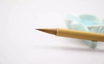 迷上阅读作文7篇