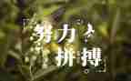 名人故事演讲稿7篇