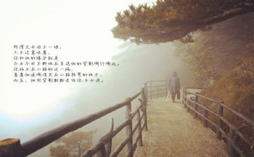 《目送》读后感800字5篇