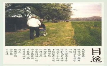 龙应台目送读书心得7篇