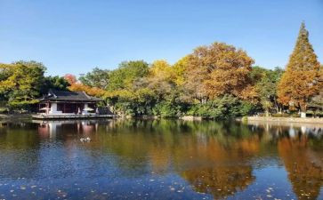 南京大屠杀纪念日演讲稿7篇