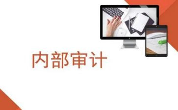 内审的工作总结5篇