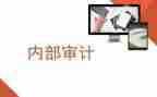 内审的工作总结5篇