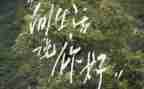 你好2023作文300字6篇
