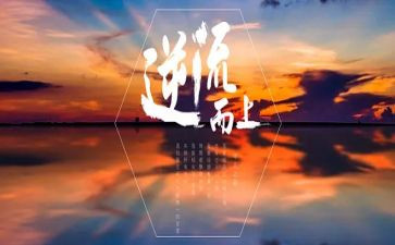 逆流的鱼作文7篇