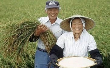 新型农民培训总结8篇