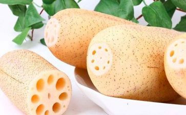 小班藕教案推荐7篇