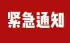 双排查工作总结优质5篇