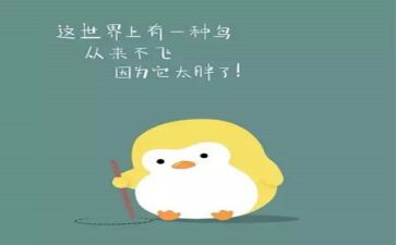 幼儿园中班健康胖和瘦教案精选7篇