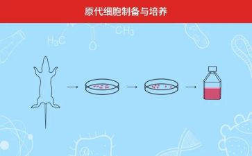 双培养个人总结8篇
