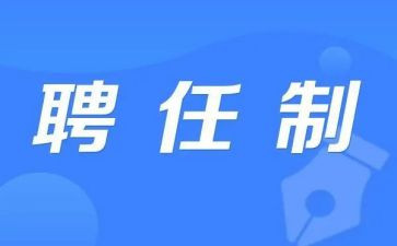 专业技术职务聘任个人总结6篇