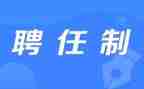 专业技术职务聘任个人总结6篇