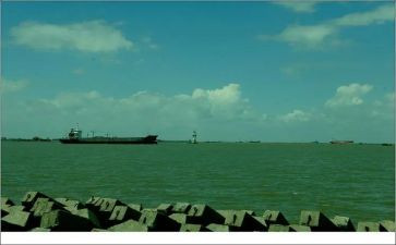 品味茶作文通用6篇